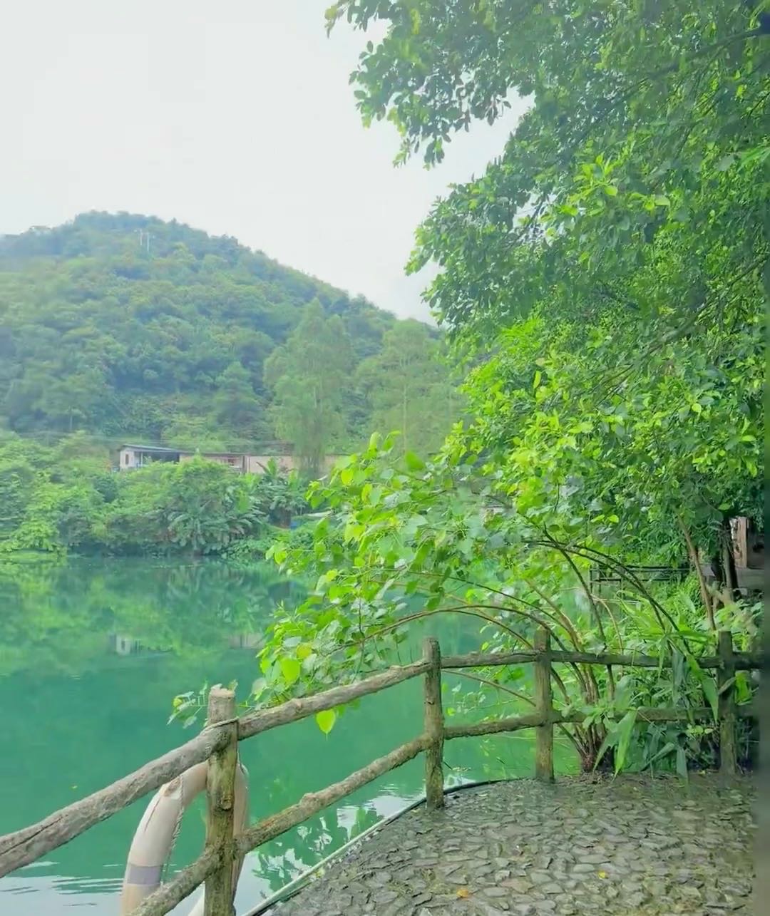 广东也有玻璃水……溯溪玩水💦广州驾车1.5H🚗