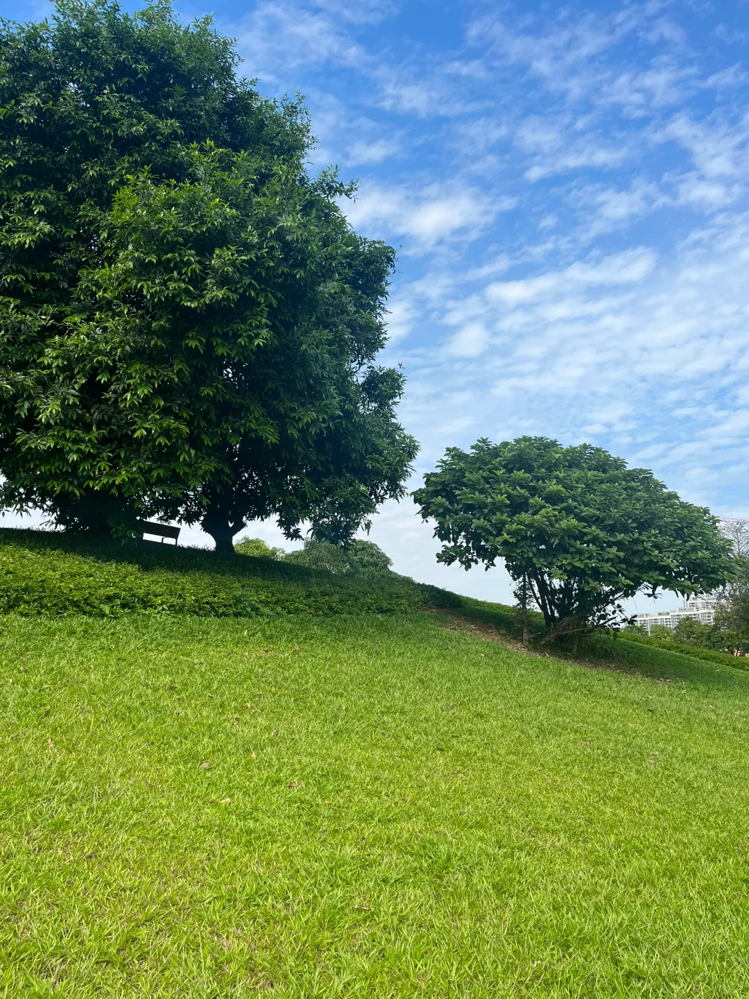 广州新遛娃胜地！大得没朋友的巨型草坪