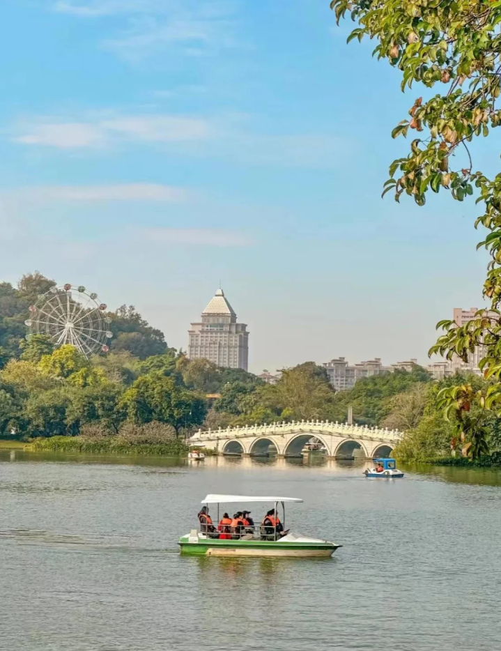 江门东湖公园🌳｜绝美绿色