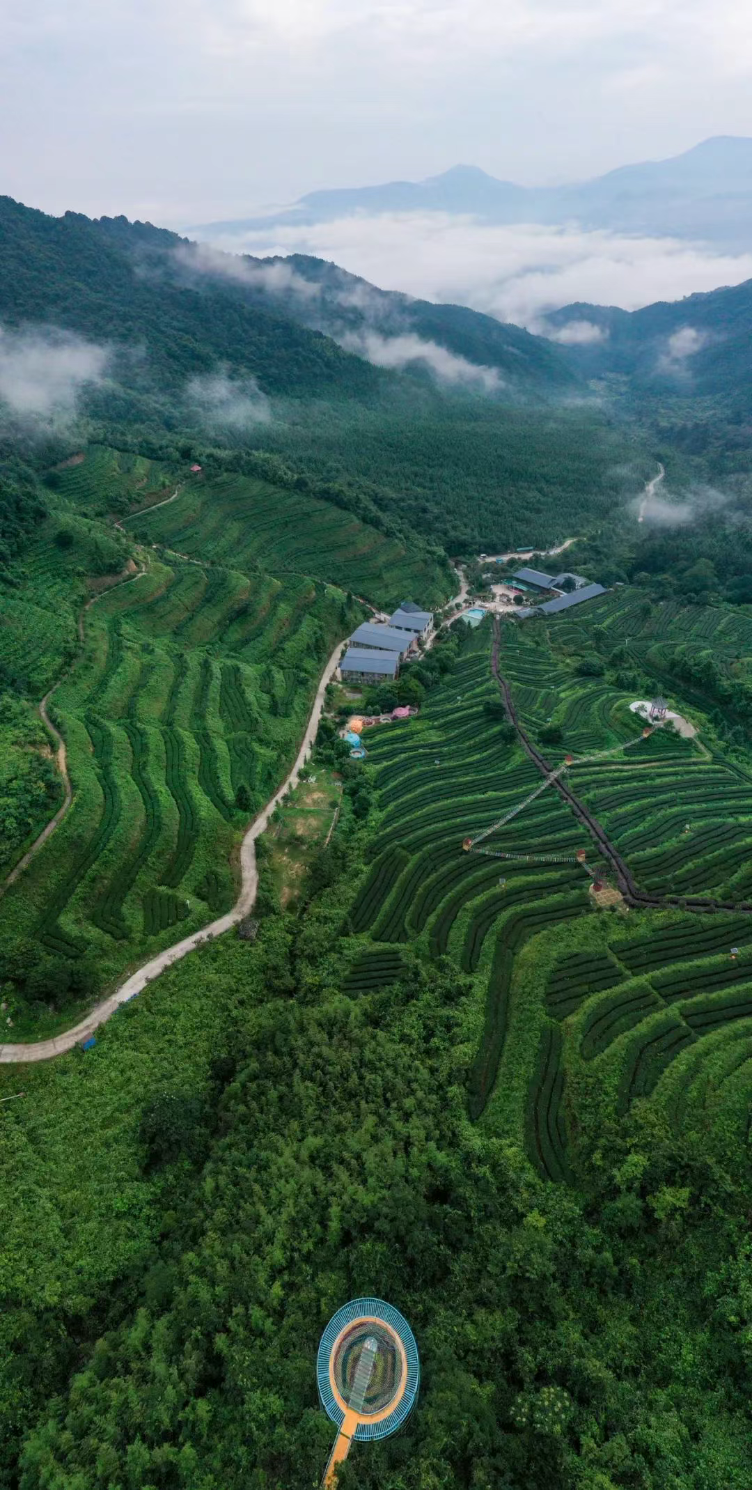 这个景区免费开放！赶紧冲