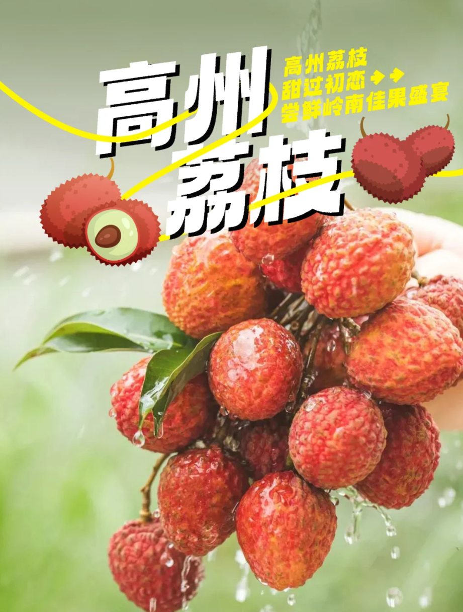 真乡 - 高州荔枝甜过初恋，尝鲜岭南佳果盛宴