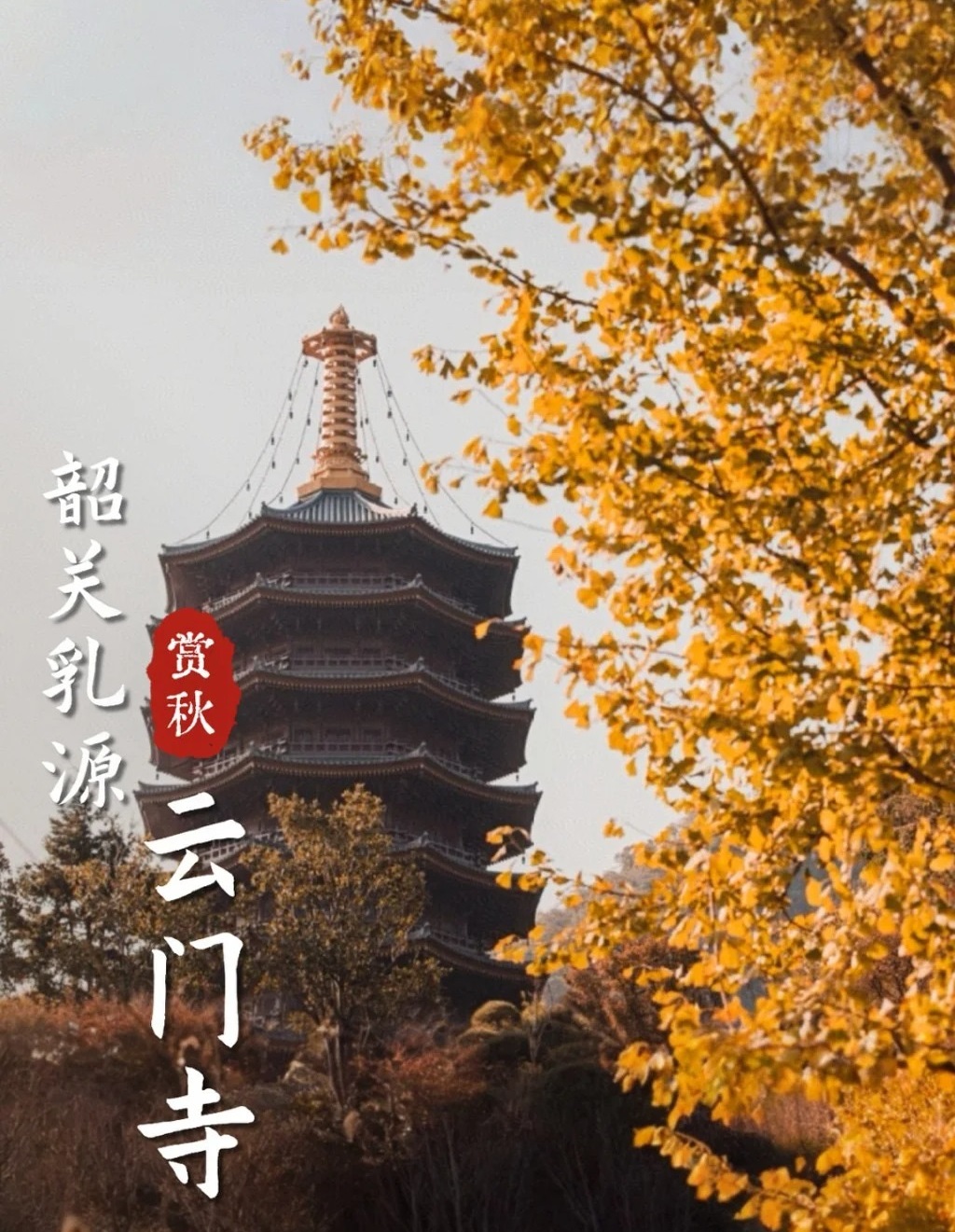 真乡 - 现在的韶关云门寺,是一整个盛大的秋天…