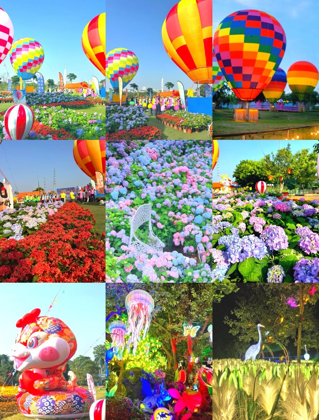 真乡 - 来东莞寮步国政生态园,一起去看绣球!💐🎈